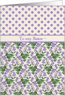 Violets, Polka Dots February Birthday Card for Sister card