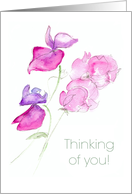 Thinking of You Message with Sweet Peas Blank Inside card