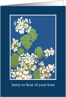 Sympathy for Loss with White Geraniums on Blue card