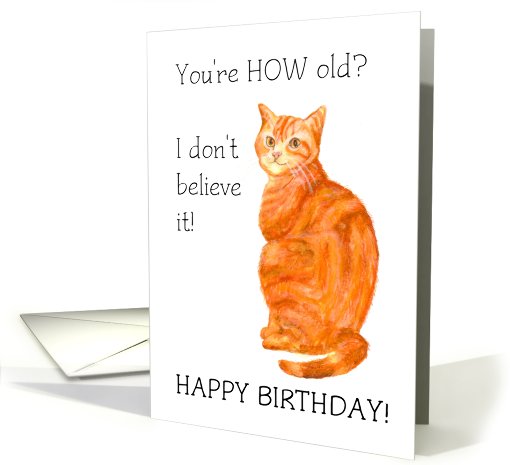 Ginger Cat Birthday card (636465)