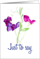 Just to Say Watercolour Sweet Peas Blank Inside card