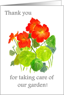 Thank You for Garden Help with Bright Red Nasturtiums card