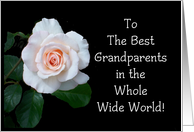 Grandparents Day Card, Pink Rosebud card