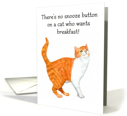 Humorous Red Tabby and White Cat Blank Inside card (729452)