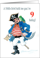 9th Birthday with Comic Pirate and Parrot card