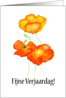 Birthday Greetings in Dutch with Iceland Poppies Blank Inside card