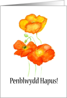 Birthday Greetings in Welsh with Iceland Poppies Blank Inside card