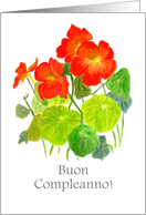 Birthday Greetings in Italian with Red Nasturtiums Blank Inside card