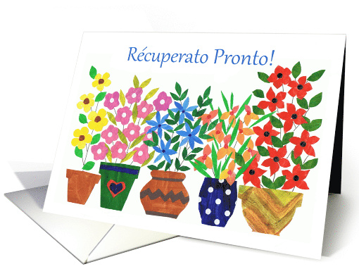 Get Well Wishes Spanish Colourful Flowers Blank Inside card (845661)