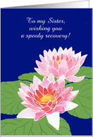 Custom Front Get Well Wishes with Pink Water Lilies card
