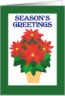 Season’s Greetings for Holidays with Bright Red Poinsettia card