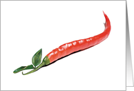 Chili Pepper - Restaurant - Food and Wine card