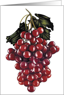Grapes - Food and Wine card