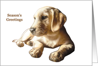 Labrador Retriever - Animals - Pets - Dogs - Christmas card