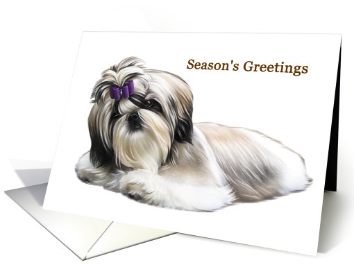 Shih Tzu - Animals - Pets - Dogs - Christmas card (535986)