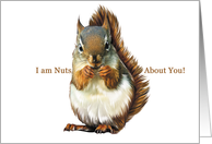 Squirrel - Love - Romance card