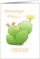 Prickly Pear Cactus - Texas Greeting card