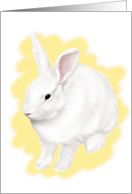 White Rabbit - Blank Card - Note Card