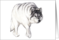 White Wolf - Blank Card - Note Card