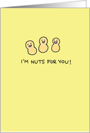Nuts for you! - Happy Birthday card