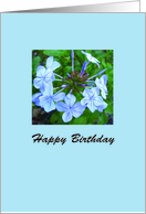 Blue Bloom Birthday card