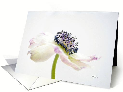 White Flower-Love card (1030599)