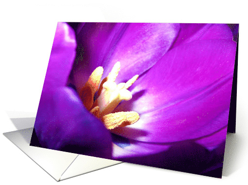 Purple Tulip card (545947)