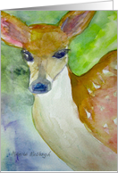 Fawn - New Baby Congratulations card
