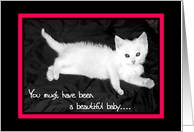You must have been a beautiful baby - Kitten card