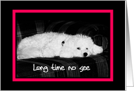 Long time no see - Very sad dog card