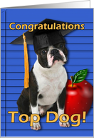 Graduation Congratulations Boston Terrier card