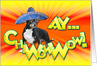 Ay..ChiWowWow! Happy Cinco de Mayo card