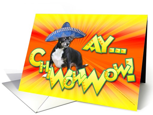 Ay..ChiWowWow! Cinco de Mayo Fiesta Invitation card (595350)