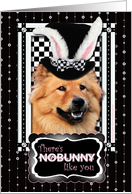 There’s NoBunny Like You Easter Card - Chow Chow card