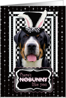 There’s NoBunny Like You Easter Card - Greater Swiss Mountain Dog card