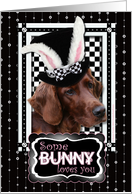 Some Bunny Loves You Easter Card - Irish Setter card