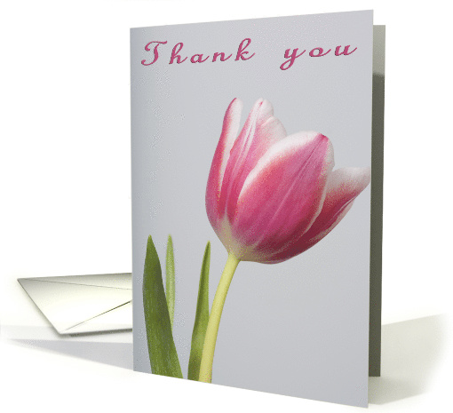 Thank You Tulip card (584913)