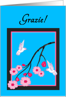 Italian Thank You White Hummingbirds on Cherry Blossoms card