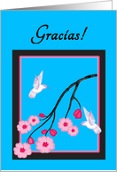 Spanish Thank You White Hummingbirds on Cherry Blossoms card