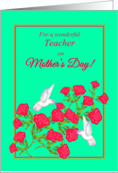 Teacher Mother’s Day White Hummingbirds and Pink Roses card