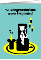 Congratulations on Pregnancy Funny Stylistic Texting Cat card