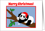 Co-worker Christmas Humor Panda Bear in Santa Hat with Wine card