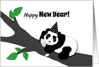 New Year’s Humor Panda Bear in Hat w Champagne Toast card