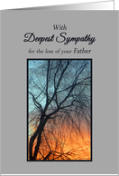 Father Sympathy Beautiful Tree Silhouette in Glowing Winter Sunset card