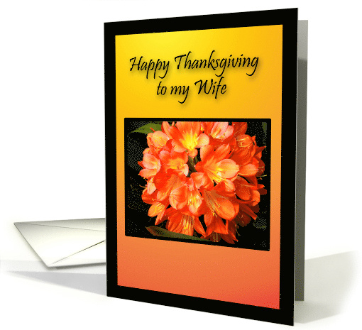 Wife Happy Thanksgiving, Beautiful Golden Orange Flower card (855359)