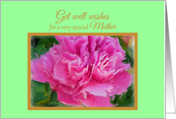 Mother Cancer Get Well Special Beautiful Pink Peony Flower card