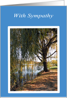 Sympathy Loss of Father Beautiful Weeping Willow Tree on Creek card