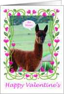 Valentines - Cute Baby Alpaca card