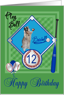 12th Birthday, raccoon playing baseball in catcher’s mask on green card