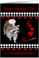 Valentine’s Day to Nephew with a Raccoon and Red Hearts on Black card